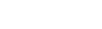 Flutter Logo